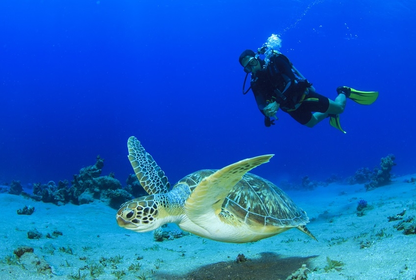 Il National Marine Park di Zakynthos