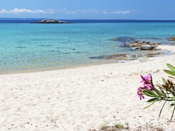 Vacanza a Zante costa occidentale