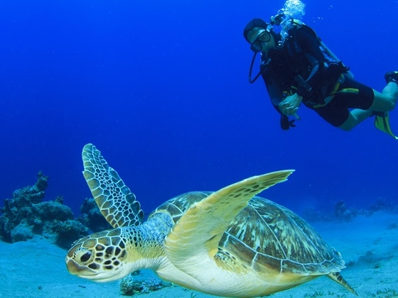 Il National Marine Park di Zakynthos